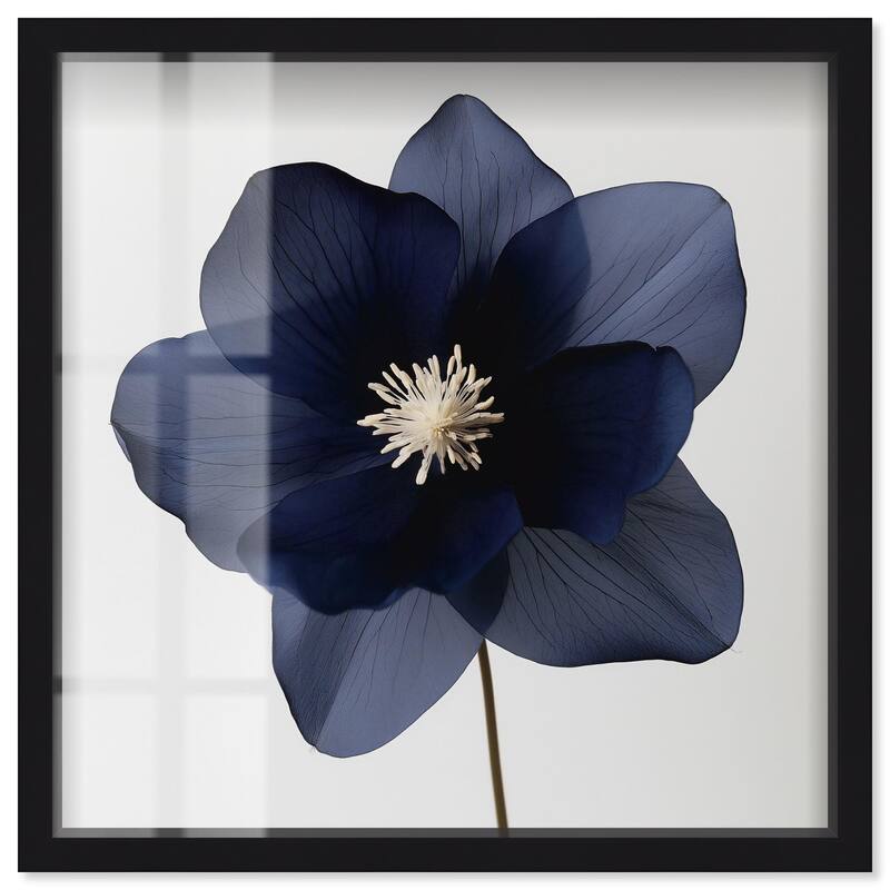 Night Dal II Shadowbox by Art Remedy - Black - 20" x 20"