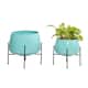 Option Teal