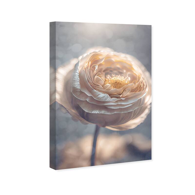Wynwood Studio Canvas Floral and Botanical Evening Peony Bliss White and Cream White Glam Wall Art Canvas Print