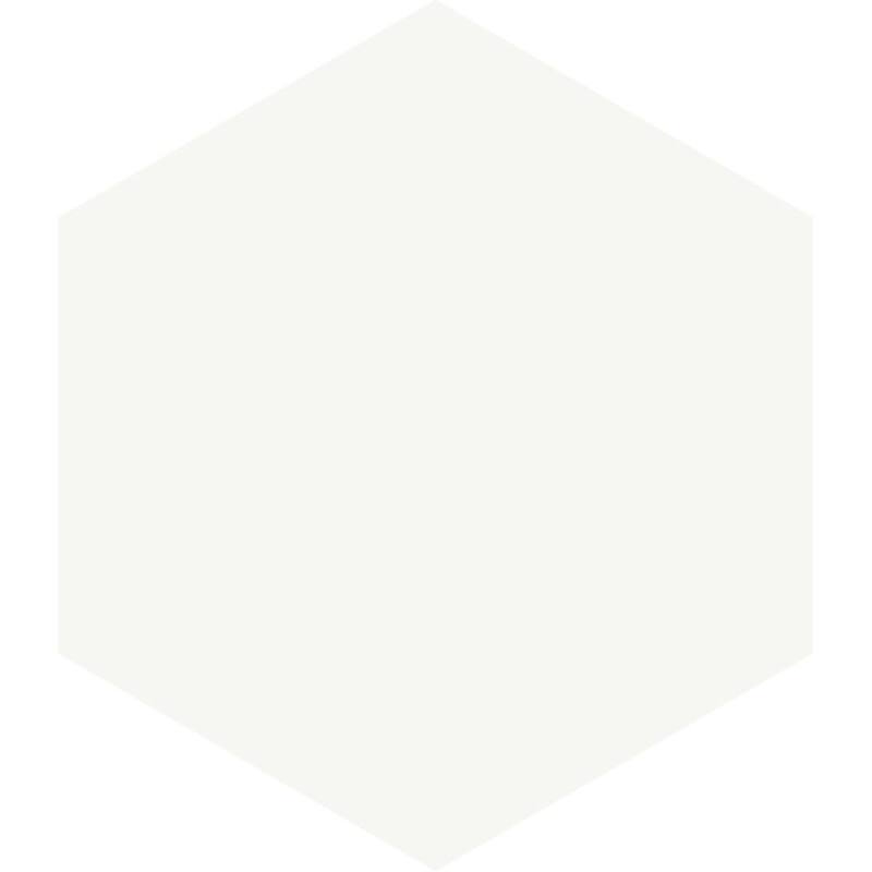 Milan 8x9.5 Matte Hexagon Porcelain Tile - Floor, Wall & Backsplash