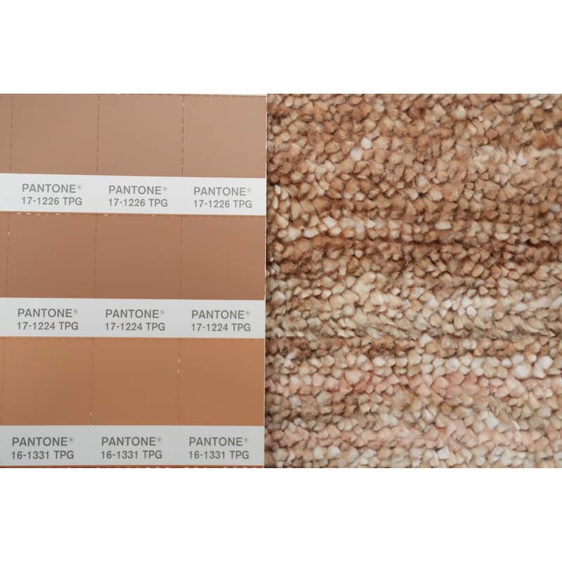 Hand Knotted Oriental Viscose Silk Carpet Tribal Animal Pictorial Brown Gabbeh Area Rug - 9' 11'' X 8' 4''