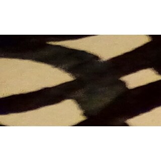 Safavieh Handmade Dip Dye Rosalinda Watercolor Vintage Boho Wool Rug