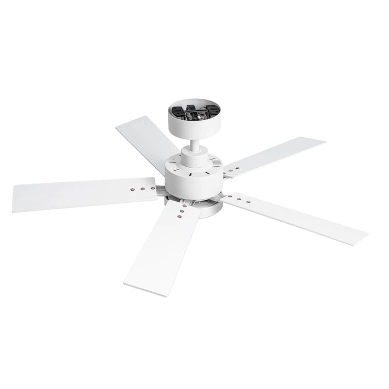 42" 5-Blade Black/White Modern LED Ceiling Fan with Light and Remote