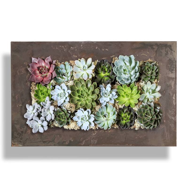 Modern Home Living Wall Galvanized Steel/Zinc Succulent Planter, Wall Mounted Garden Pocket Planter (Horizontal 18 Pocket