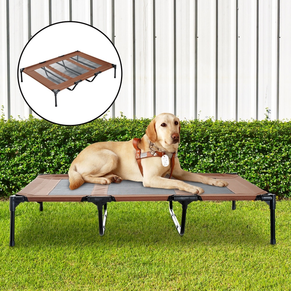 Dry clean dog bed hotsell
