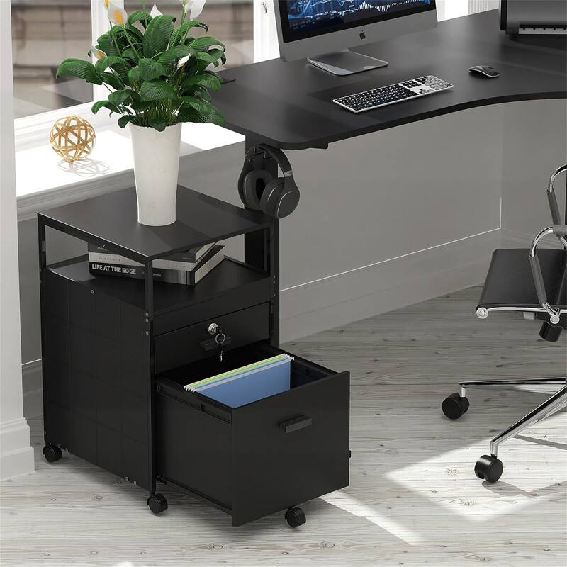 Rolling File Cabinet w/ 2 Drawers