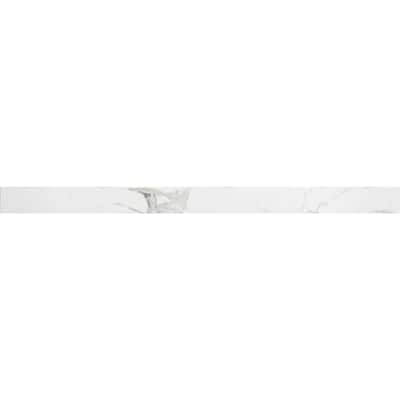 The Tile Life Penthouse 2x24 Porcelain Bullnose Wall Tile - 2 x 24 - 1 Piece