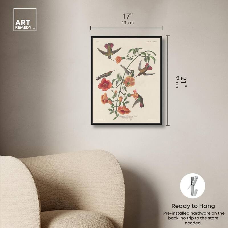 Humming Bird 1834 Canvas by Art Remedy