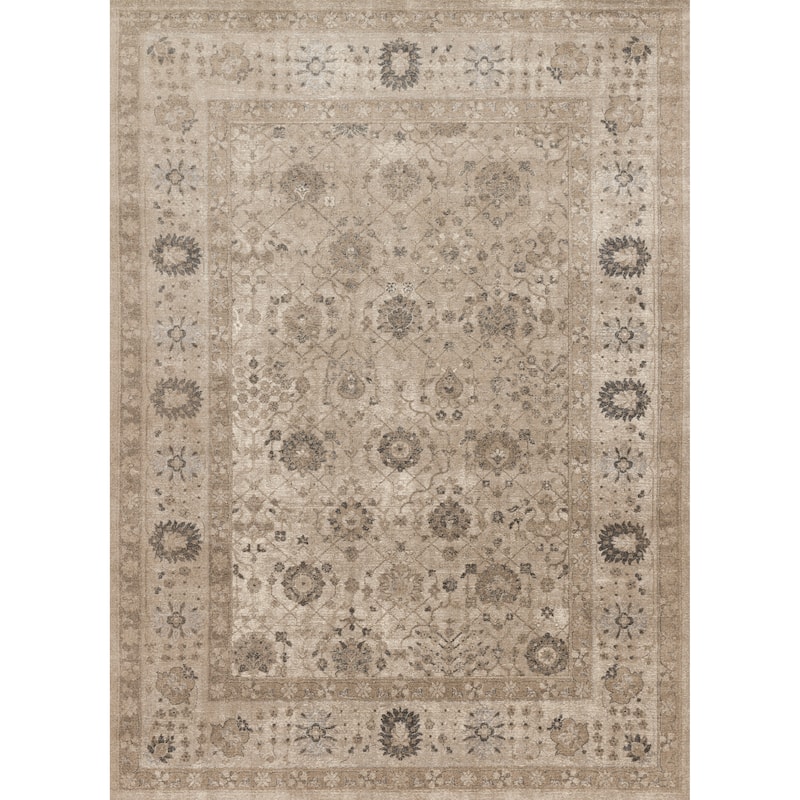 Alexander Home Kendrick Traditional Oriental Area Rug - 9'6" x 13' - Taupe/Taupe - Rectangle