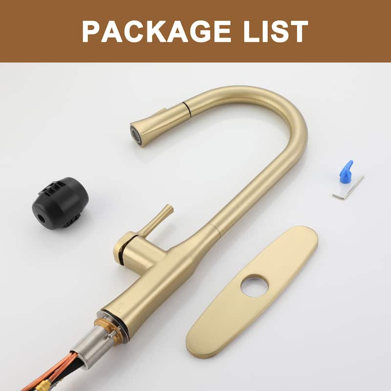 Single-Handle Pull-Out Sprayer Kitchen Faucet