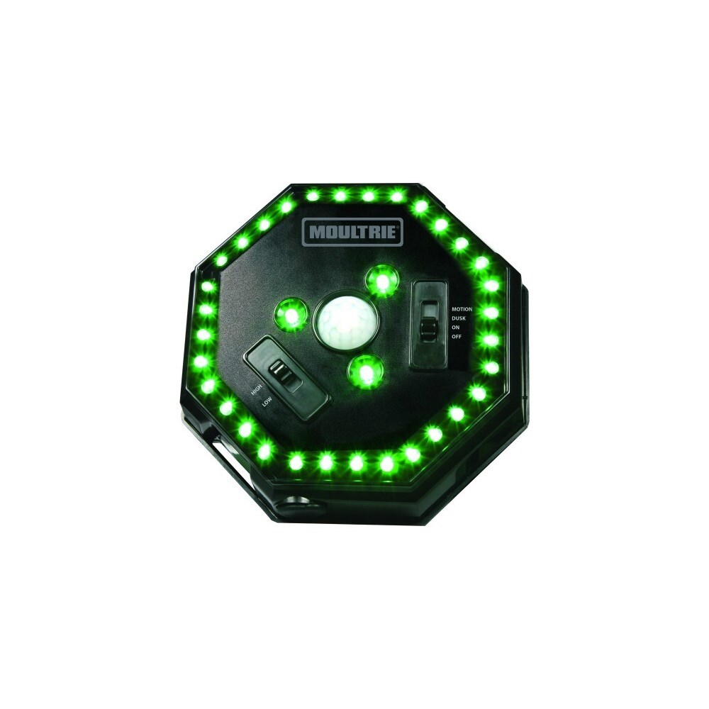 Moultrie Hog Light Reviews Masar Tbcct Co