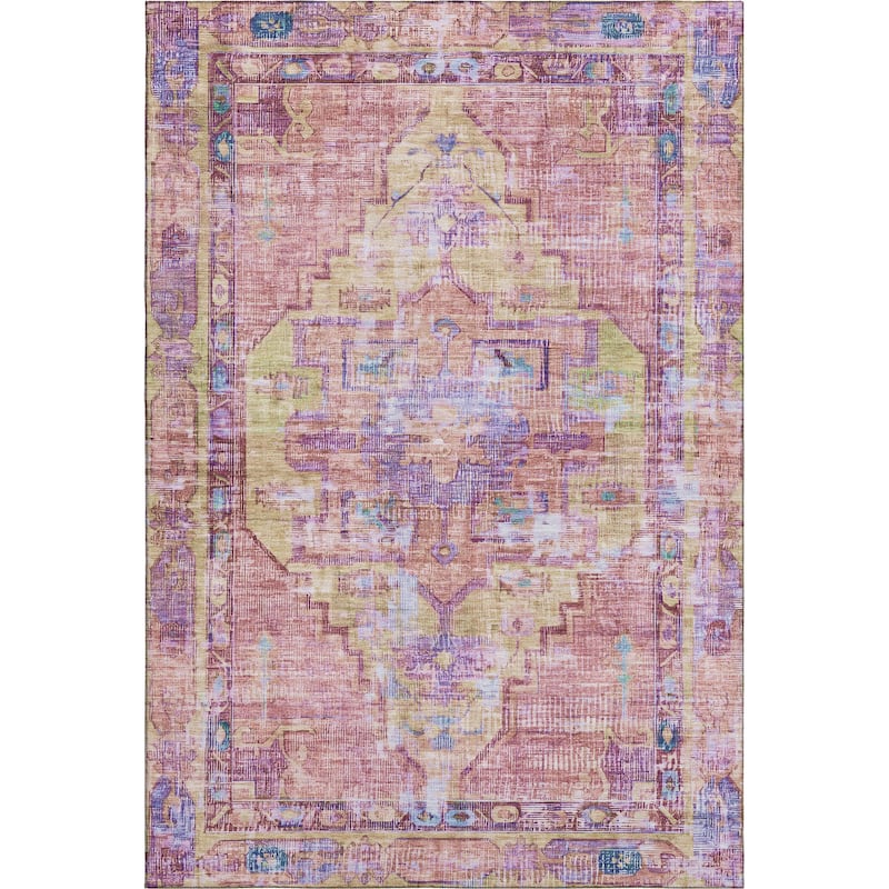 Premium Washable Super Soft Vintage Traditional Mayfield Rug