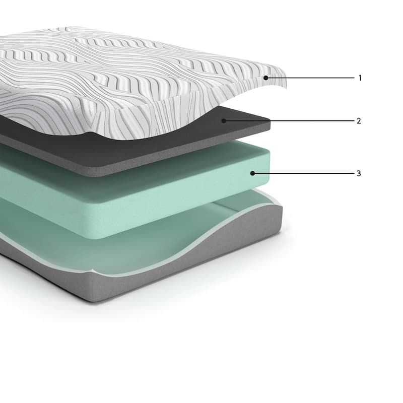 Meny King Mattress, Ultra Plush Memory Foam, Body Support 8 Inch