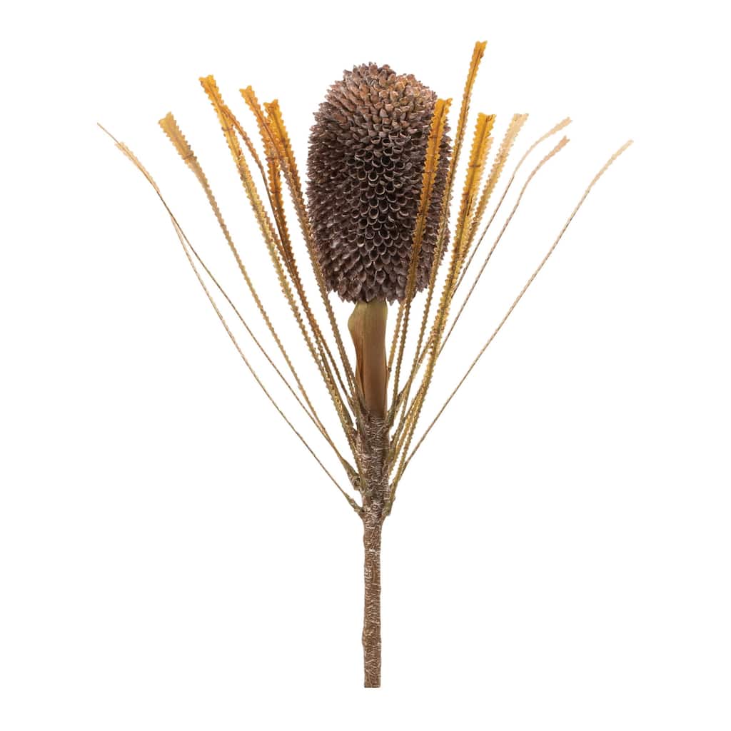 Fall Banksia Pod Stem (Set of 2)