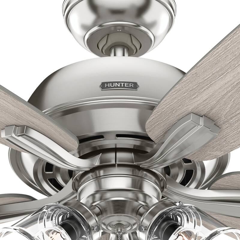 Hunter 60" Dondra Ceiling Fan with LED Light Kit and Pull Chain, Formal, Transitional