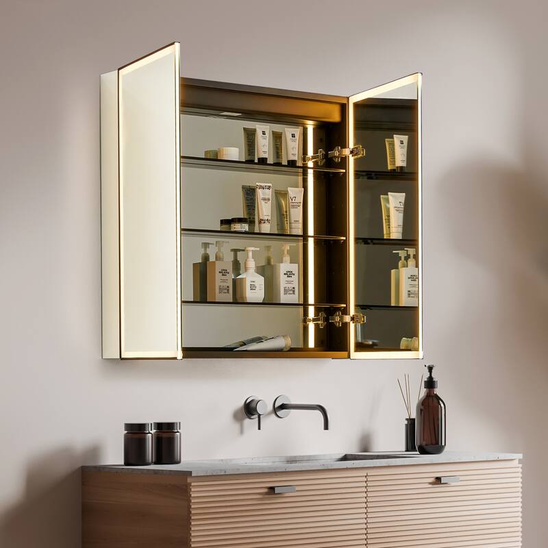 Fenice Rectangular Surface-Mount/Reccessed LED Lighted Bathroom Black Aluminum Mirror Medicine Cabinet