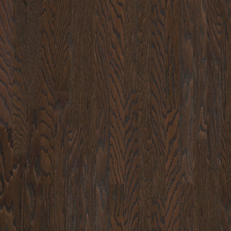 Shaw Albright Oak 3-1/4" Wide Smooth Engineered Red Oak Hardwood - Chocolate