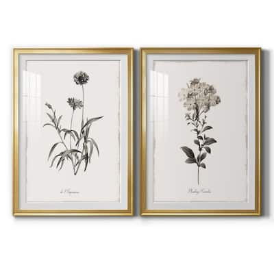 Sketchbook Imperial Premium Framed Print - Ready to Hang
