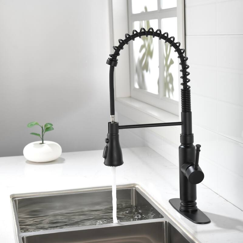Spring Kitchen Faucet, Single Level Handle and Pull Down Sprayer