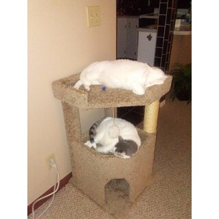 New Cat Condos 33-inch Corner Roost Sturdy Cat Tree - Free ...