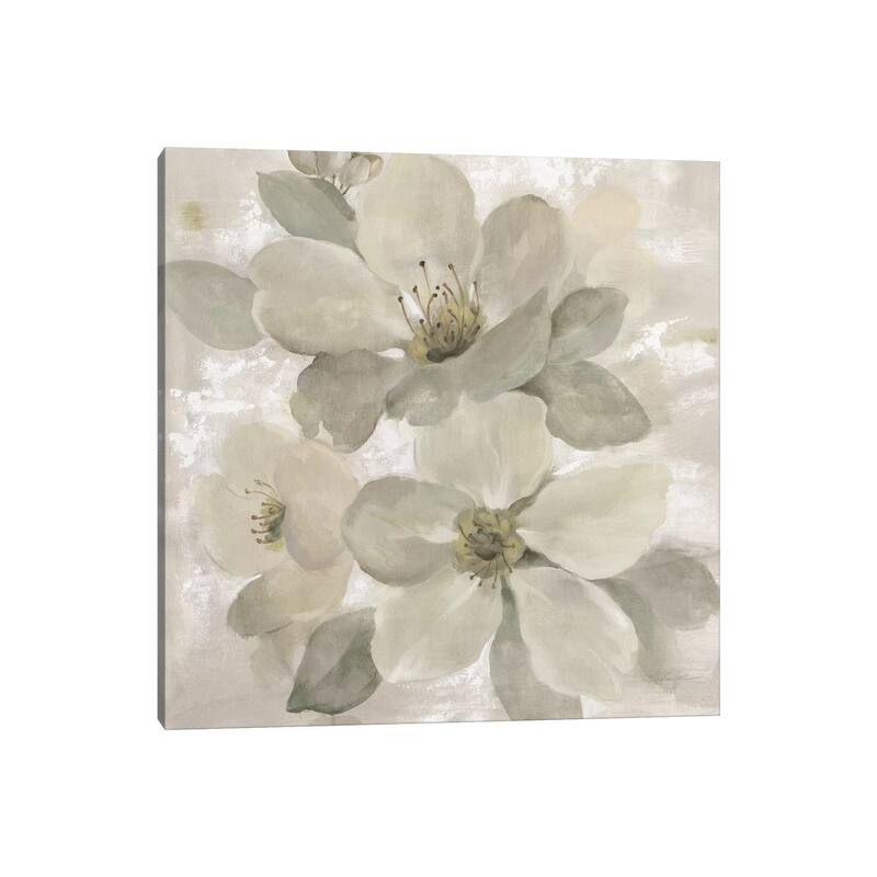 iCanvas "White On White Floral I" by Silvia Vassileva Canvas Print