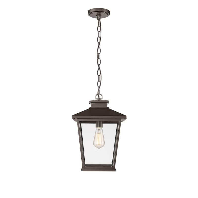 Millennium Lighting Bellman 1 Light Outdoor Hanging Lantern with Clear Seedy Glass Shades - Powder Coat Bronze