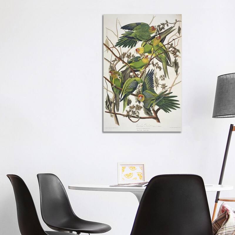 iCanvas "Carolina Parrot & Cuckle Burr" by John James Audubon Canvas Print - 40x26x1.5