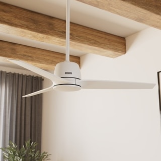 Hunter + Jasmine Roth 52" Malden Ceiling Fan and Handheld Remote - Contemporary, Modern - Designer!