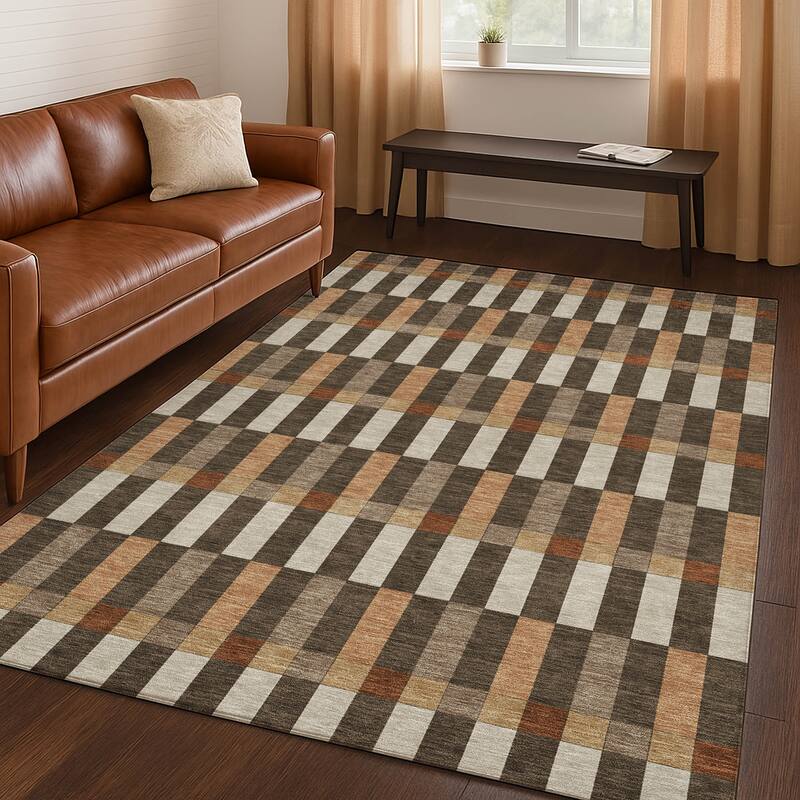 Machine Washable Indoor/ Outdoor Modern Chanute Chantille Rug