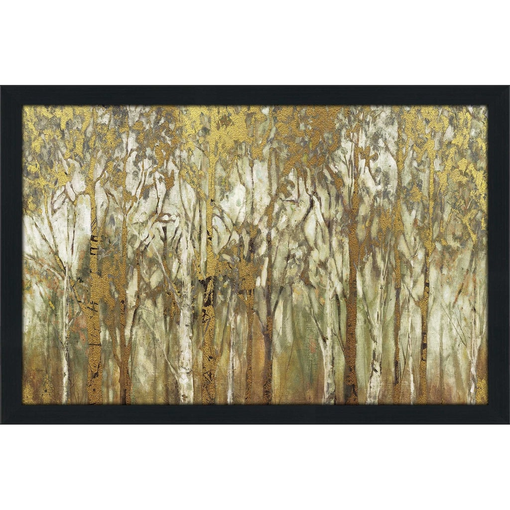 "Birch Grove Panoramic" by Carol Robinson Print on Acrylic