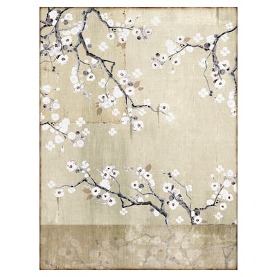 Simple Cherry Blossom by Belle Maison Canvas Art Print