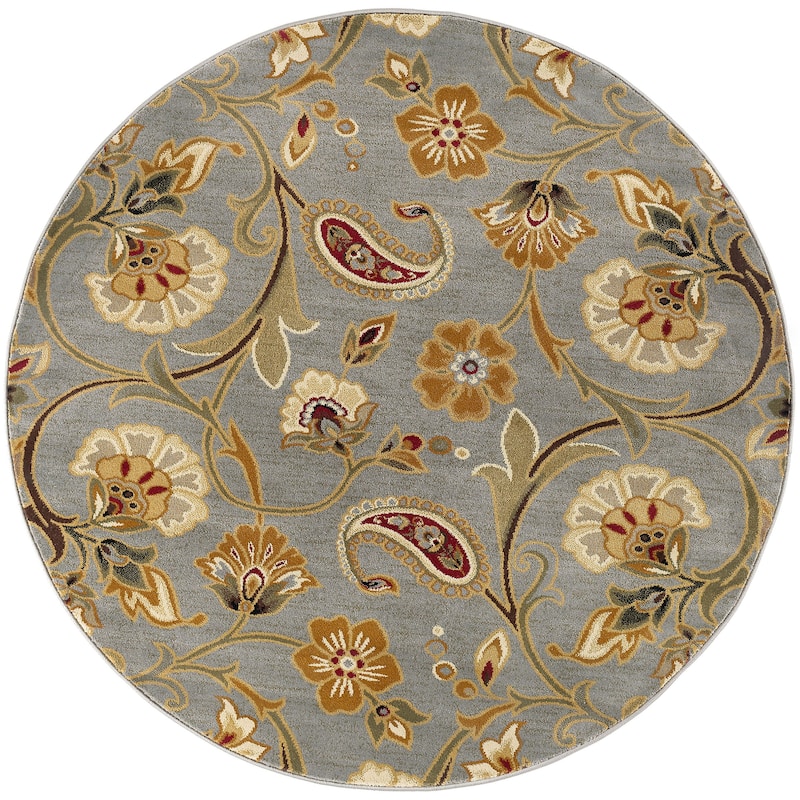 Infinity Transitional Floral Indoor Area Rug