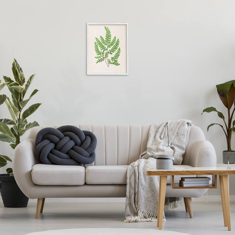 Stupell Woodland Sprigs Study Framed Giclee Art Design By Phillipa Katz