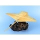 preview thumbnail 6 of 4, Wooden Hand Carved Stingray on Coral Statue Sculpture Wood Home Decor Accent Figurine Handcrafted Handmade Seaside Tropical N