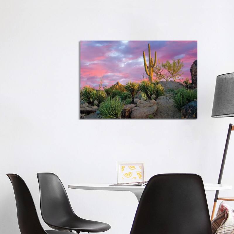 iCanvas "Cactus Garden Sunrise" by Dennis Frates Canvas Print - 26x40x1.5