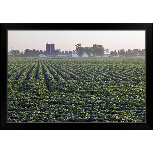 "Soy bean field, distant farm buildings, Iowa" Black Framed Print