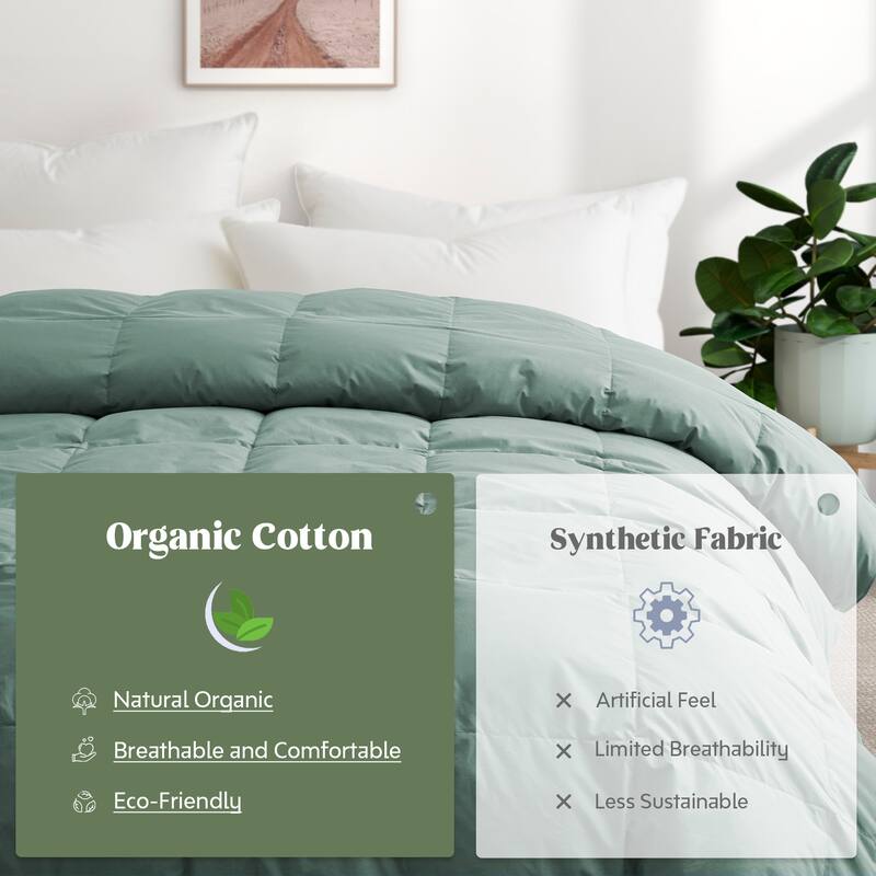 All Season 300TC Organic Cotton Down Comforter - 100% Natural, Chemical-Free, Medium Warmth Duvet Insert