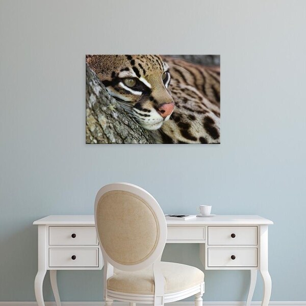 Easy Art Prints Rolf Nussbaumer's 'Ocelot' Premium Canvas Art
