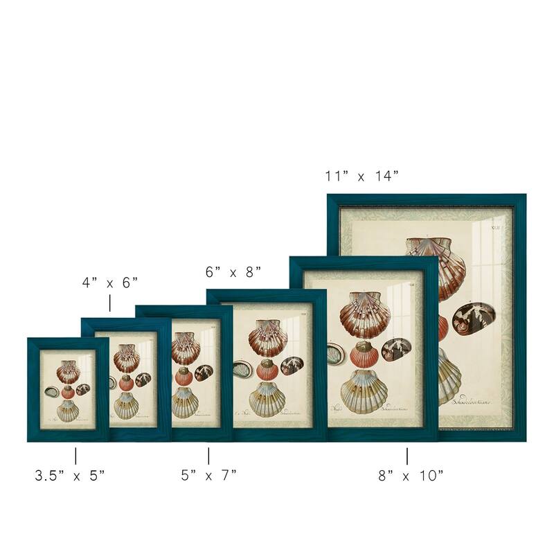 Bookplate Shells III -Framed Print w/glass-Cherry Red