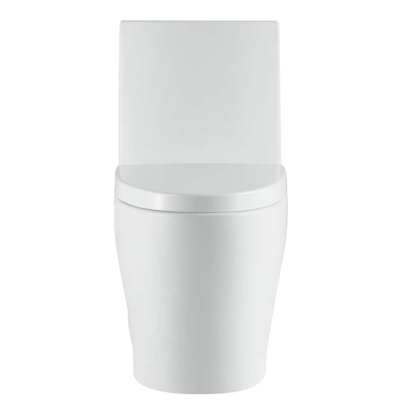Fine Fixtures Dual-Flush Elongated One-Piece Toilet with High Efficiency Flush