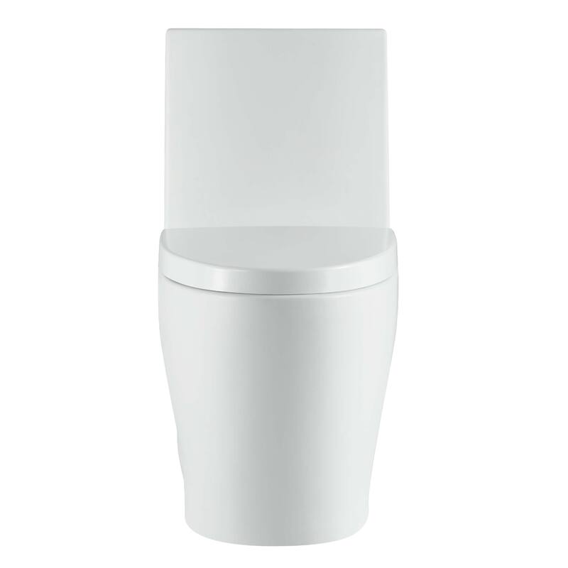 Fine Fixtures Dual-Flush Elongated One-Piece Toilet with High Efficiency Flush