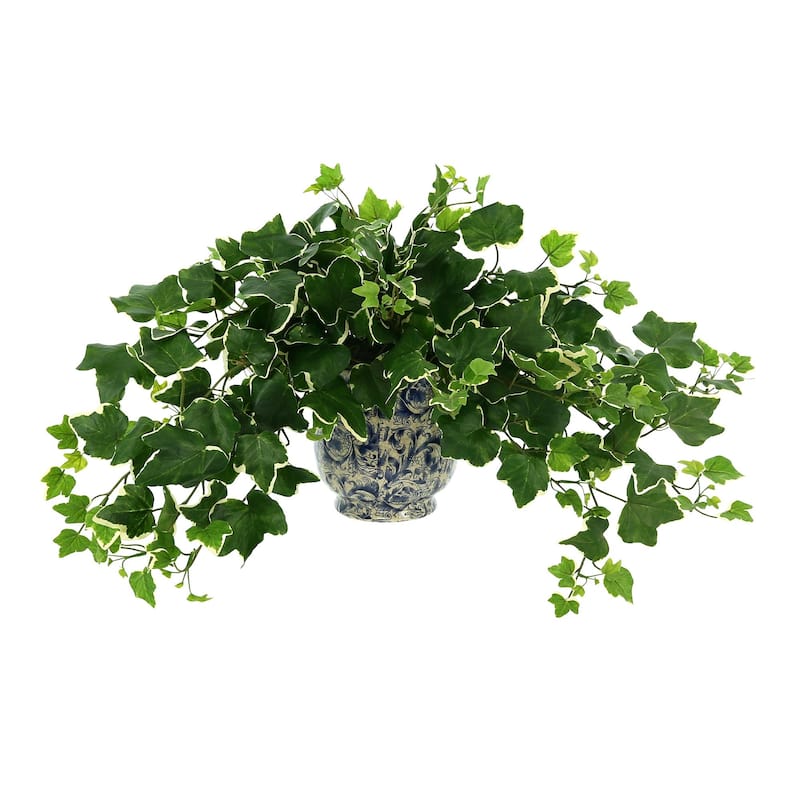 Ivy Arrangement in a Decorative Ceramic Pot - Green