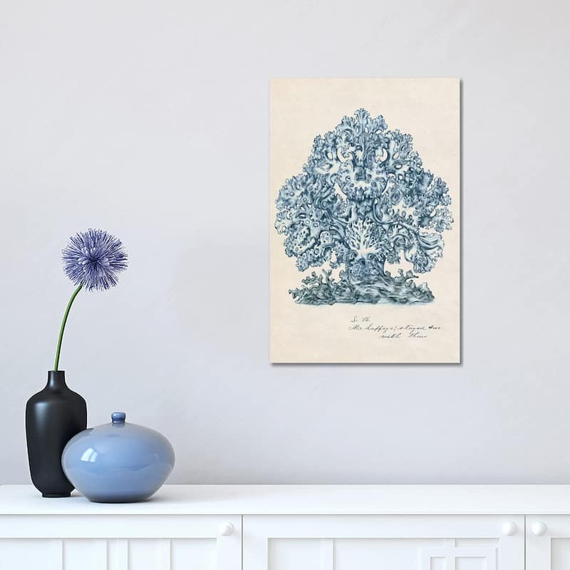 iCanvas "Sea Coral Study II" by Melissa Wang Canvas Print - 18x12x1.5