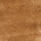 preview thumbnail 55 of 85, SAFAVIEH Faux Sheep Skin Shona 2.4-inch Thick Rug