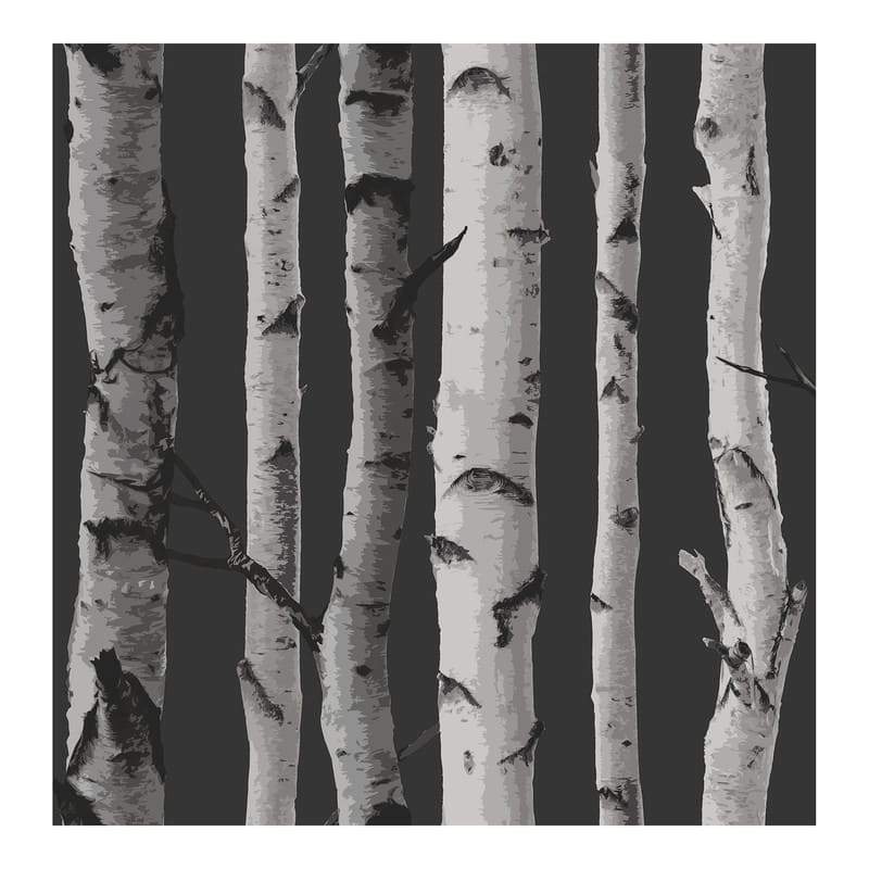 Fine Decor Distinctive Black Birch Tree Wallpaper - 20.5 x 396 x 0.025