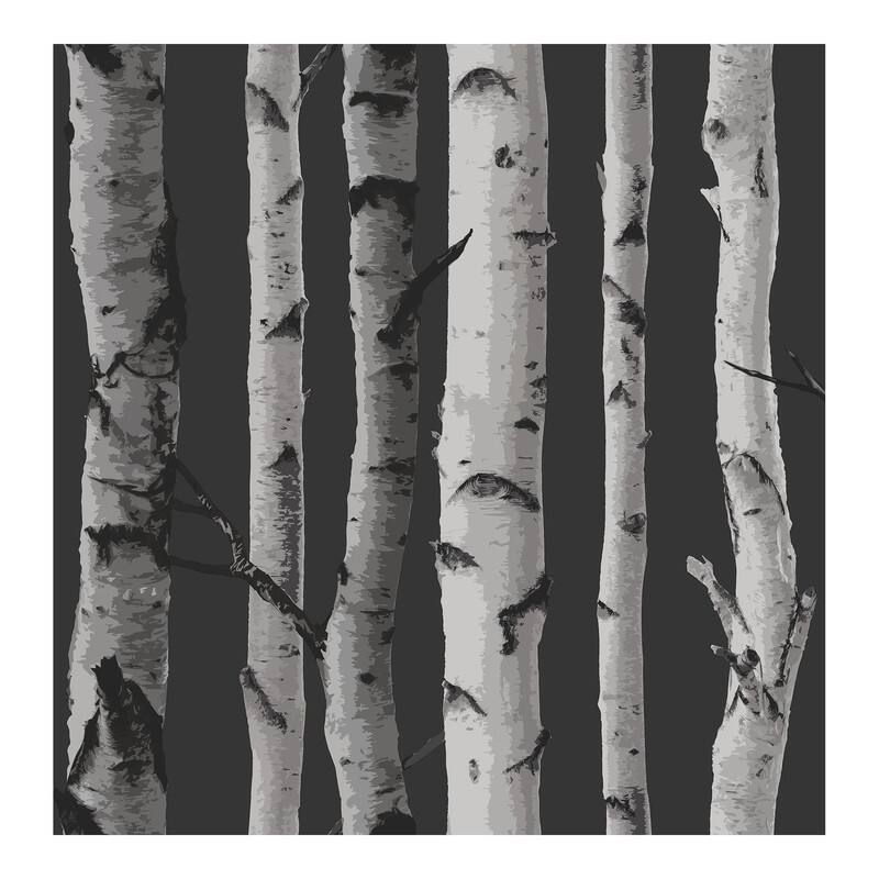 Fine Decor Distinctive Black Birch Tree Wallpaper - 20.5 x 396 x 0.025