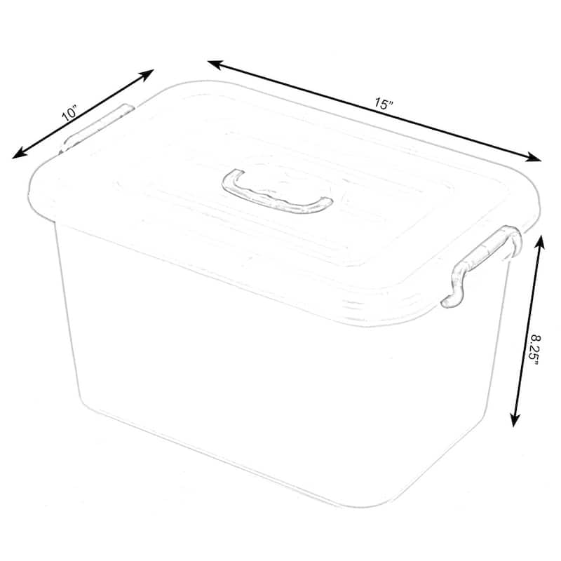 Large Clear Storage Container With Lid and Handles