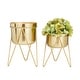 preview thumbnail 16 of 19, CosmoLiving by Cosmopolitan Metal Modern Planter (Set of 2) - S/2 7", 7"W