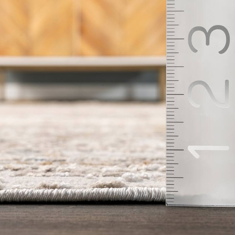 Nuloom Lucille Faded Vintage Medallion Area Rug