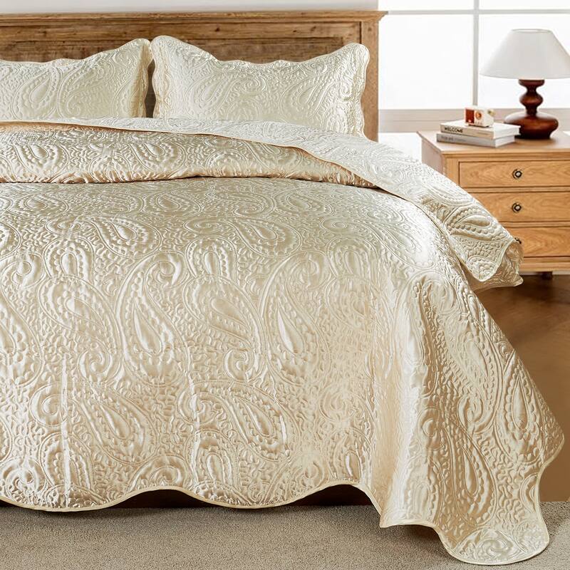 3-Piece Paisley Design Lightweight Bedding Set